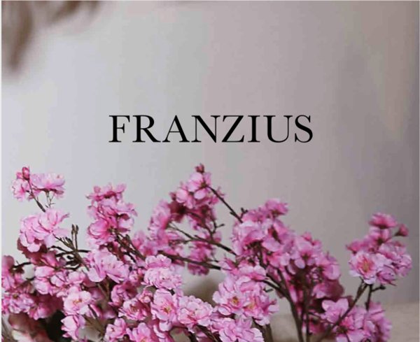 Stephanie Franzius