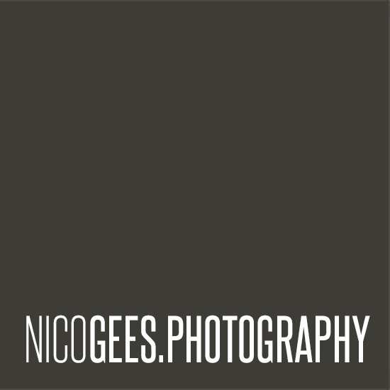 Nico Gees