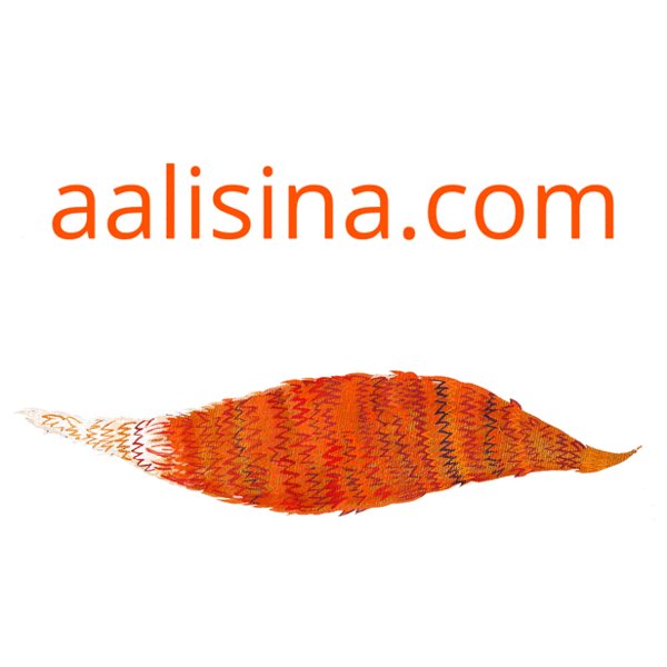 Asya Lisina