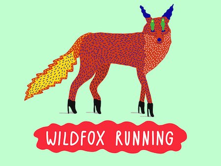 WILDFOX RUNNING