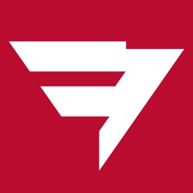 FEUER AG