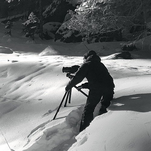 Thilo Sicheneder