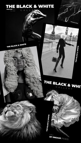 The Black & White Gallery