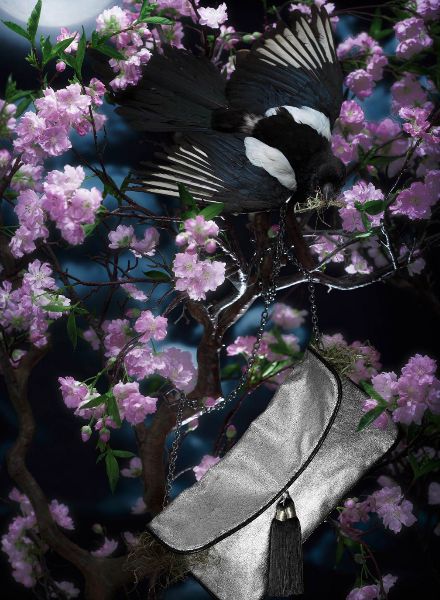 'Nest' editorial for MATERIAL GIRL by TOM SEELBACH