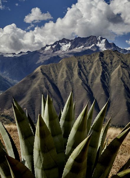 PERUVIAN CONNECTION Winter 2016 campaign staged by Blasius ERLINGER c/o HILLE PHOTOGRAPHERS