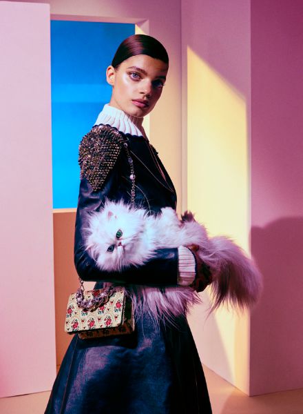 'Aristo Cats' - a stylish cat lady fashion spread by set stylist Tina REISINGER c/o PERFECTPROPS staged in light pink. Photos: Elizaveta Porodina