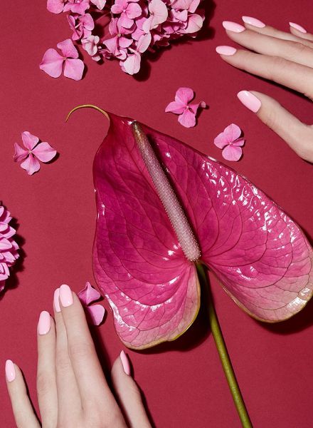 'Flowers & Hands' - CARINA JAHN präsentiert makellose Hände und frische Blumen Bouquets