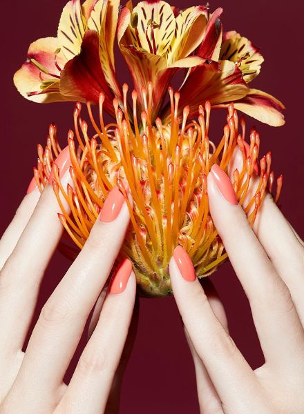 'Flowers & Hands' - CARINA JAHN präsentiert makellose Hände und frische Blumen Bouquets