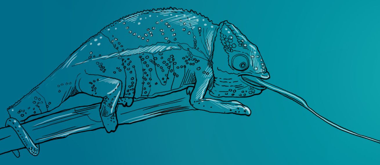 'For everyone who perseveres' – animal recruiting cards for SGL Carbon, illustrated by Jacqueline URBAN c/o ART ACT