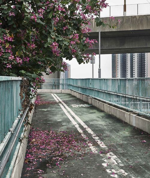 HONG KONG CITYSCAPES - a corporate commission for photographer Tina STURZENEGGER c/o VISUALEYES ARTIST