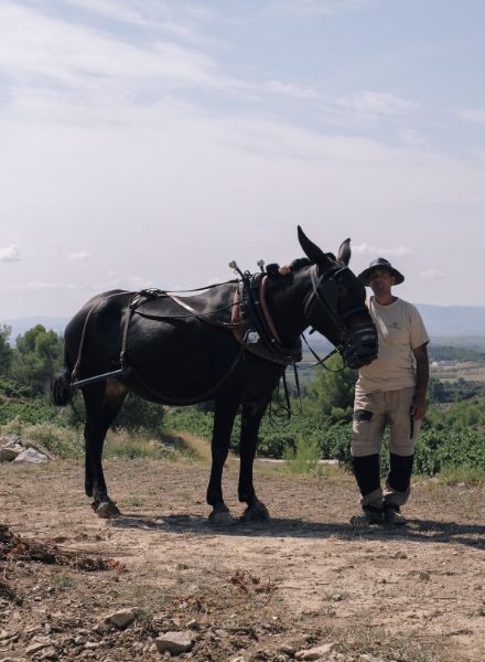 'The Alchemist' - United Airline's Hemispheres magazine editorial by Adrian Morris c/o TAKE Agency about Gérard Bertrand and his winery