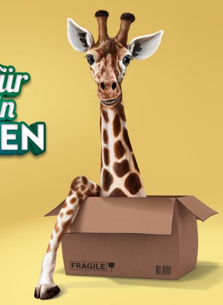 Art Act : Illustrations for Swiss BEOBACHTER, NICKO CRUISES, W&V, 'Grafic Recording' spot, UNITY MEDIA... and NEW entry Emmi Zipf