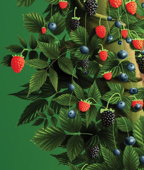 An illustration by Vali PETRIDEAN c/o VISUALEYES ARTISTS for dairy product manufacturer NAPOLACT, a main brand of Dutch company FrieslandCampina and one of the largest in Romania