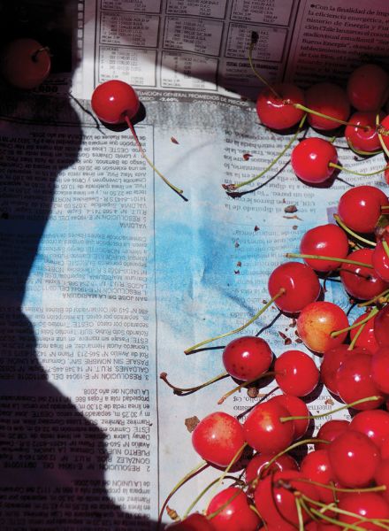 GoSee loves ...'FAR AWAY BUT CLOSE' von Jessica Backhaus - kleine Momente des Innehaltens, festgehalten in farbintensiven Momentaufnahmen auf den Reisen der Fotografin nach Chile