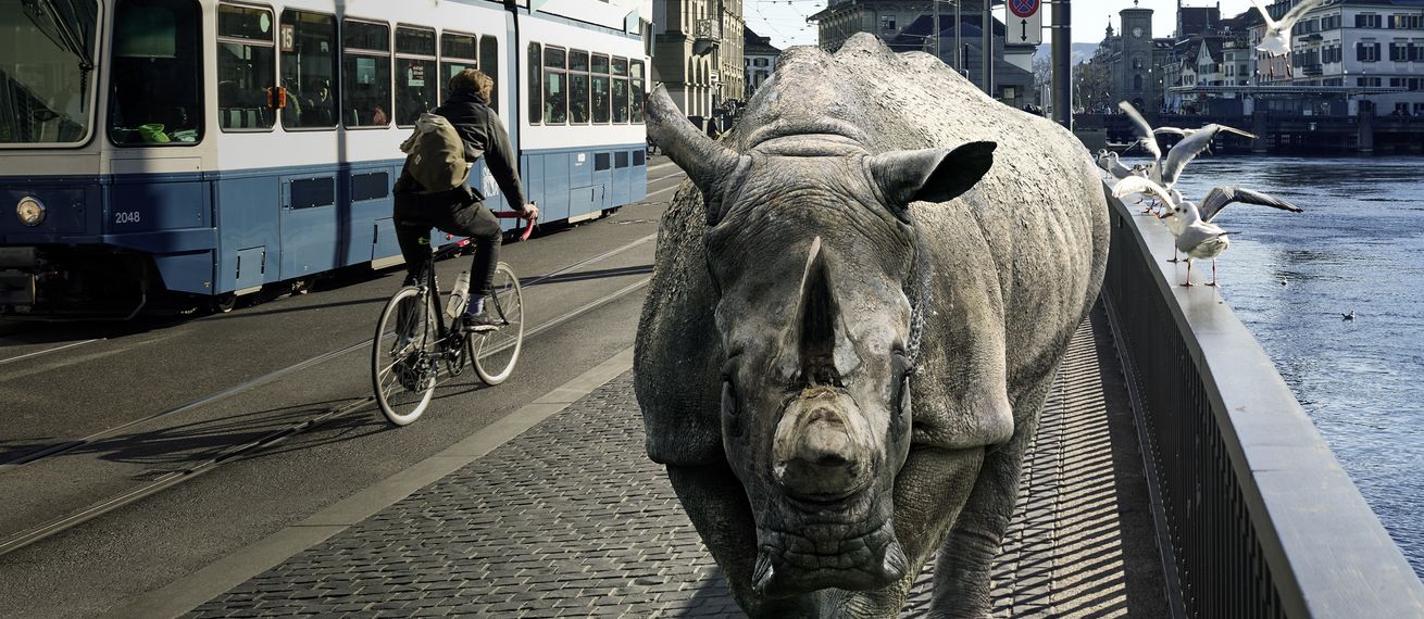 The ZURICH ZOO is carefully opening its doors on 6 June, 2020 – the zoo campaign for main sponsor ZÜRCHER KANTONALBANK was photographed by PLAY
