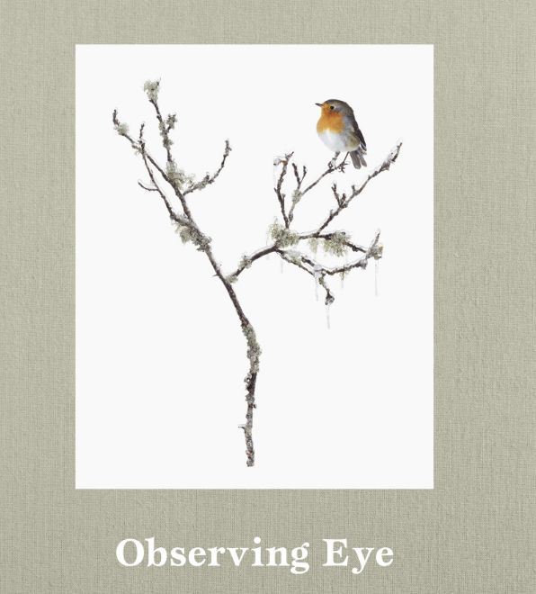 GOSEE ART : Fotografin Sanna Kannisto zeigt ihre Ausstellung 'Sense of Wonder' bis 13ten September im Finnish Museum of Photography und das Buch 'Observing Eye' ab sofort bei hatjecantz.de