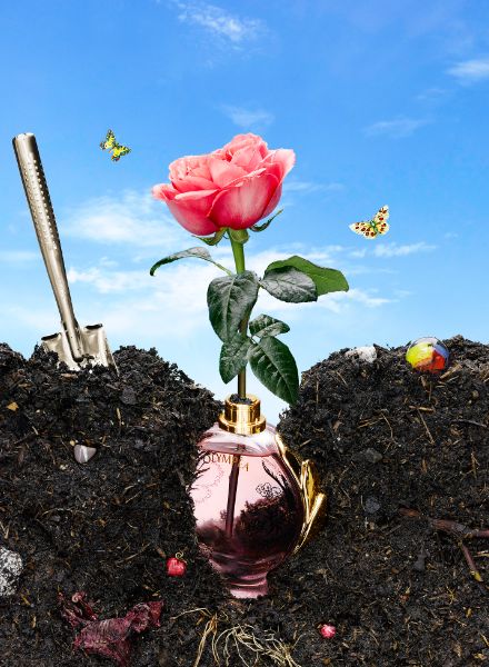 Grow your own ... - Wolf-Dieter BÖTTCHER c/o STILLSTARS photographs trendy fragrances of the 2021 season for INSTYLE, styling by Belmira Hadziefendic