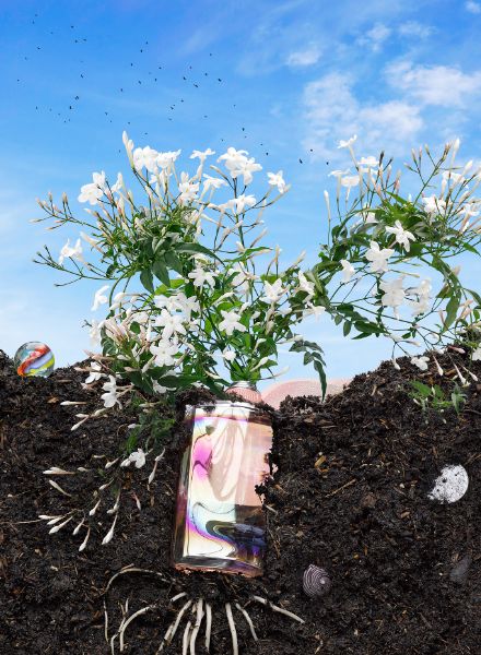Grow your own ... - Wolf-Dieter BÖTTCHER c/o STILLSTARS photographs trendy fragrances of the 2021 season for INSTYLE, styling by Belmira Hadziefendic