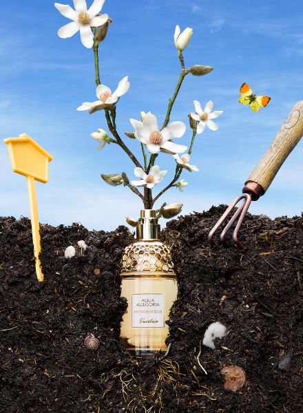 Grow your own ... - Wolf-Dieter BÖTTCHER c/o STILLSTARS photographs trendy fragrances of the 2021 season for INSTYLE, styling by Belmira Hadziefendic