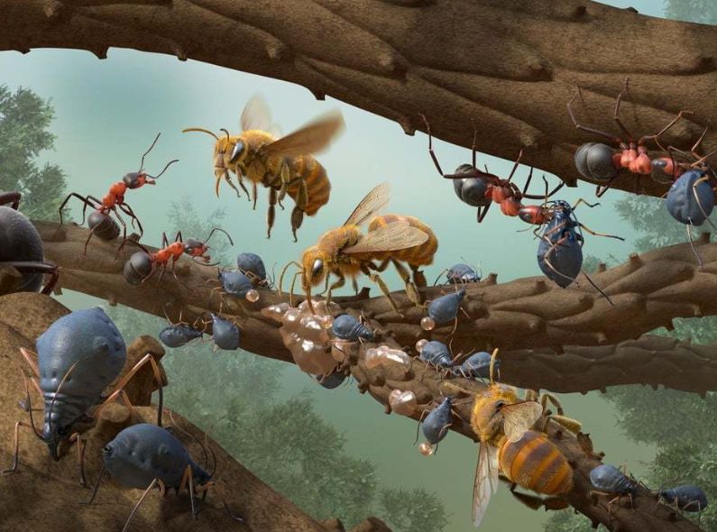 NEW : SEPIA, the Agency for Illustration, Münster; 3D Galaxies of Urine Diagnostics, 'The Ant Collective' in fascinating images, Porsche Taycan digitalized for PORSCHE ENGINEERING, celebrity portraits, digital collages for GOOGLE and FINANZTEST