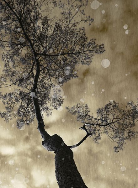 ILONA LANGBROEK – TERRA INCOGNITA, zu sehen in der Galerie Bildhalle in Amsterdam