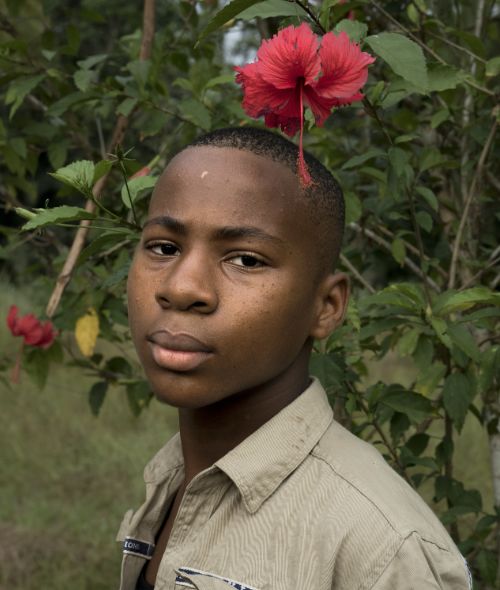 ZENKER – the book by photographers Yana Wernicke and Jonas Feige retrace the life of German gardener and botanist Georg August Zenker in Cameroon
