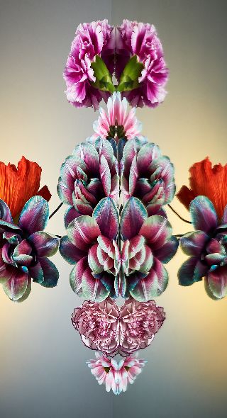 ‘Florescence’ – fine art project by set designer Linnea APELQVIST and still life photographer Christoffer DALKARLS c/o AGENT MOLLY & CO on GoSee NEWS