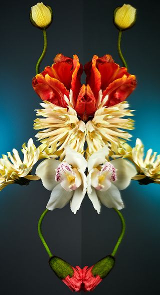 ‘Florescence’ – fine art project by set designer Linnea APELQVIST and still life photographer Christoffer DALKARLS c/o AGENT MOLLY & CO on GoSee NEWS