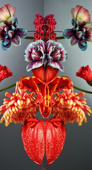 ‘Florescence’ – fine art project by set designer Linnea APELQVIST and still life photographer Christoffer DALKARLS c/o AGENT MOLLY & CO on GoSee NEWS