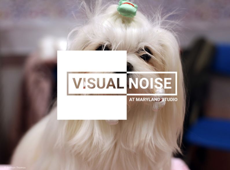 VISUAL NOISE at MARYLAND STUDIO : Go&See the NEXT GENERATION of PHOTOGRAPHY VOICES exhibit with RANKIN