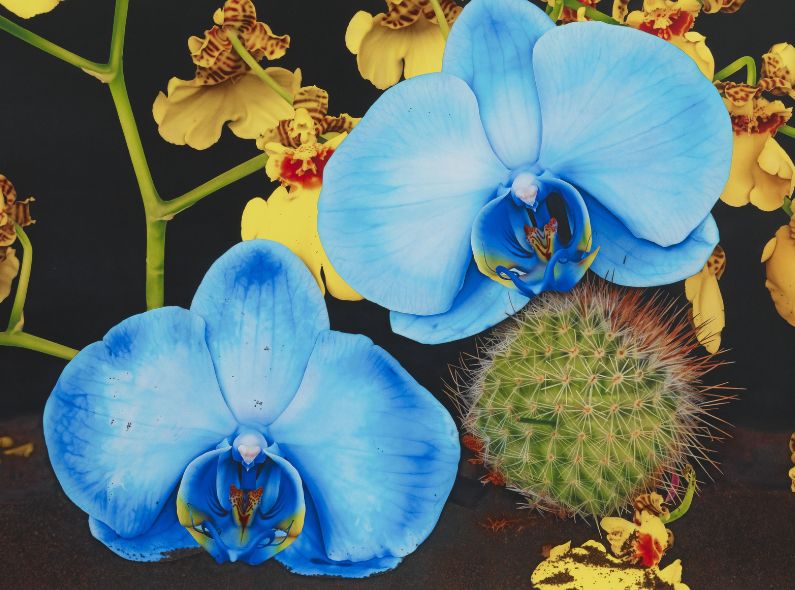 WEST CONTEMPORARY GALLERY and KERRIDGE’S BAR & GRILL present you from 27 July – 30 September 2022 in London : VOICES IN BRITISH ART VOLUME 2