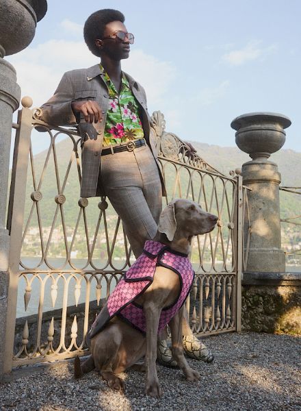 The new GUCCI PET COLLECTION photographed by Jana GERBERDING c/o BIRD PRODUCTION for MYTHERESA at Lake Como