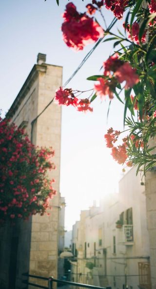 FAMILY X ITALY – a personal travel reportage by Paul CALVER c/o MAKING PICTURES