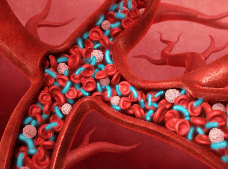 Hyperrealistic 3D blood illustrations for international market leader SYSMEX – by Armin SCHIEB c/o SEPIA