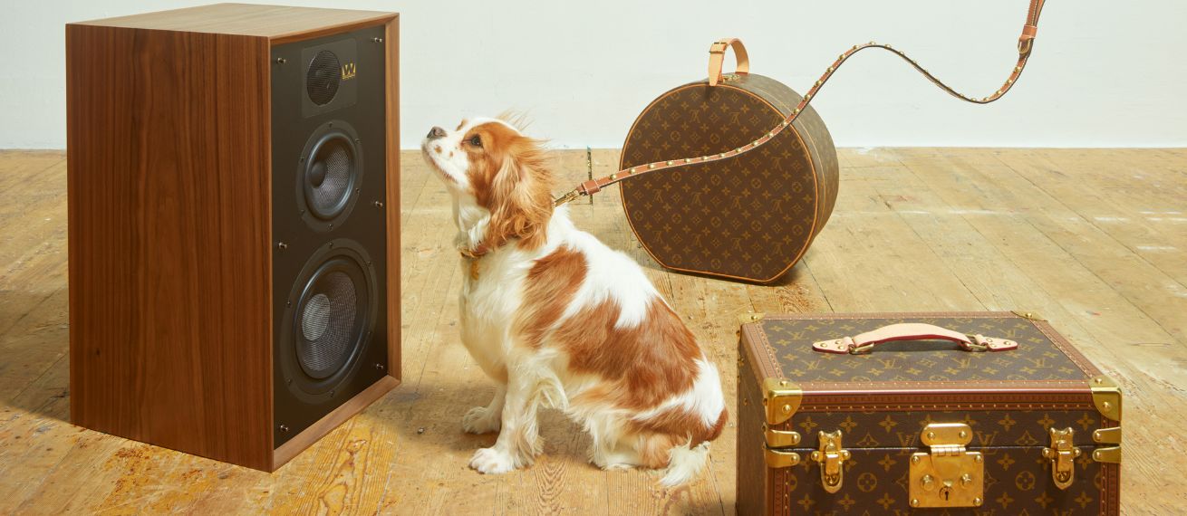 'Diamond Dogs' im THE SUNDAY TELEGRAPH - Fotos Dan BURN-FORTI c/o MAKING PICTURES