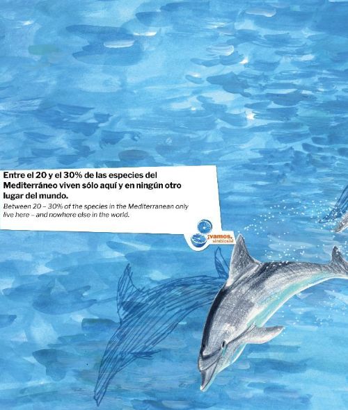 '¡Vamos Simbiosis! - Building a Partnership with the Sea through Arts and Science' - das Artwork zur Initiative zum Schutz des Mittelmeeres stammt von Katrin und Kristina c/o ART ACT
