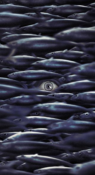 Just out : An illustrated special edition of ‘The Swarm’ by Frank Schätzing with illustrations by Francesco BONGIORNI & Isabel SELIGER c/o SEPIA