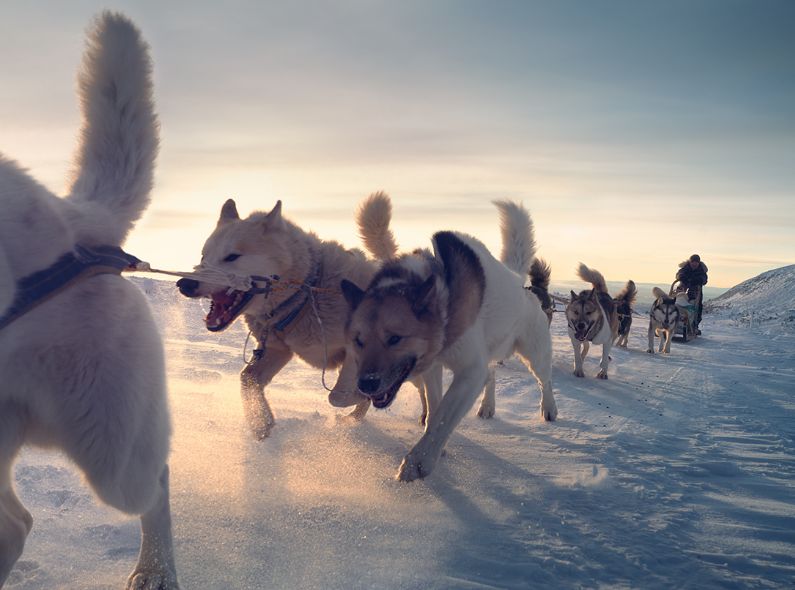 MARKUS MUELLER presents the visually stunning series ‘Wild North’, for which he accompanied extreme sports athlete and mental coach Hendrik Stachnau in the Swedish wilderness