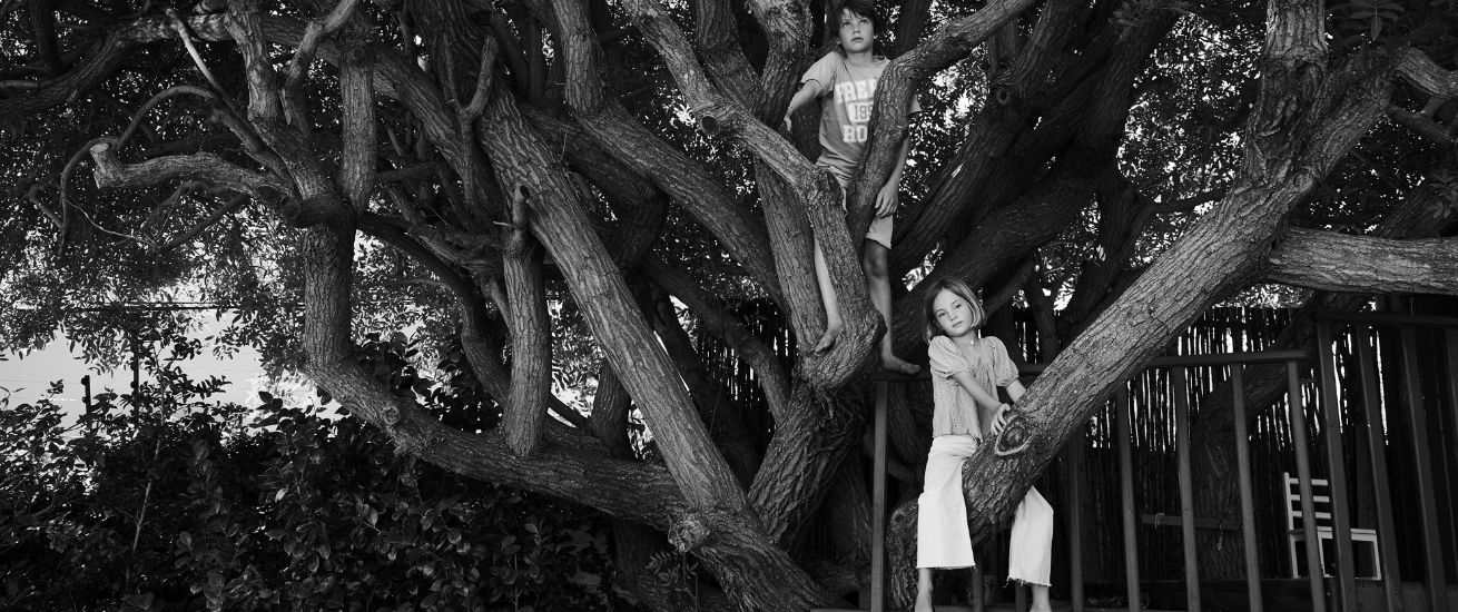 'Les Cousins' - eine freie Arbeit von der Wahl-Kapstädterin Beatrice HEYDIRI c/o SEVERIN WENDELER
