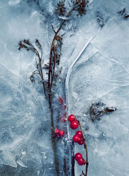 The essence of the scenery and elements of the landscape intricately intertwined in still life photography - beauty and fashion photographer Markus LAMBERT c/o NERGER M&O discovers his passion for stills