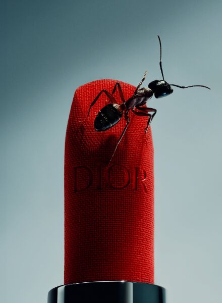 NEW at GoSee : QUENTIN DÉCAILLET, Stills, Swiss Alps; We show you his personal work 'Beauty in the Smallest Details ' which captures the journey of an ant on a Dior lipstick