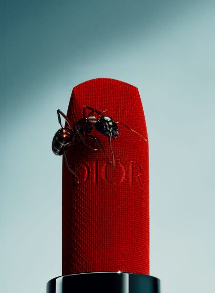 NEW at GoSee : QUENTIN DÉCAILLET, Stills, Swiss Alps; We show you his personal work 'Beauty in the Smallest Details ' which captures the journey of an ant on a Dior lipstick