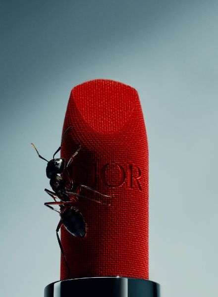 NEW at GoSee : QUENTIN DÉCAILLET, Stills, Swiss Alps; We show you his personal work 'Beauty in the Smallest Details ' which captures the journey of an ant on a Dior lipstick