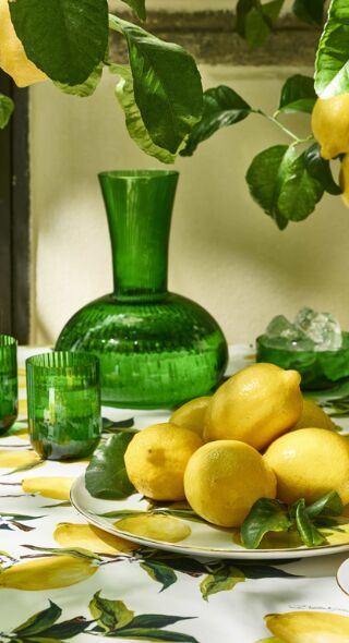 La Sicilia in Cucina - Dolce Gabbana's new book published by Rizzoli Book featuring motifs by Andreas ACHMANN c/o KRISTINA KORB