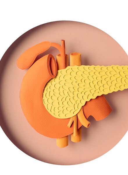 'The Power of Hormones' illustrated by WRK c/o 2AGENTEN for AOK MAGAZIN