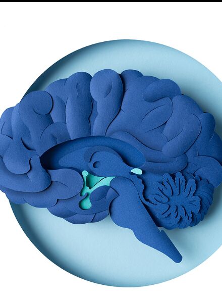 'The Power of Hormones' illustrated by WRK c/o 2AGENTEN for AOK MAGAZIN