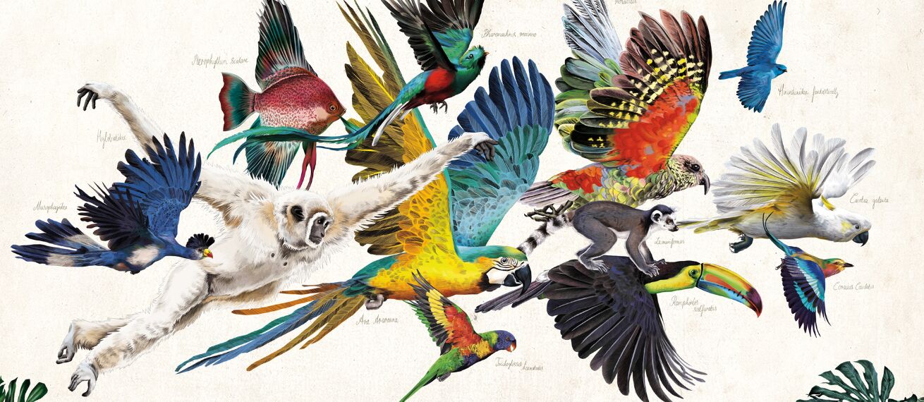 Welcome to the Urban Jungle – NINETYNINE HOTELS with Jungle & Wildlife Illustrations by Romina ROSA c/o 2AGENTEN