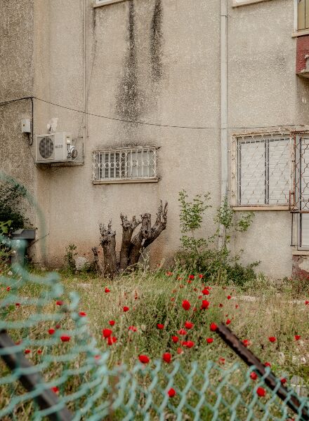 TEL AVIV - eine visueller Reisebericht abseits der touristischen Pfade von TINA STURZENEGGER c/o VISUALEYES ARTISTS