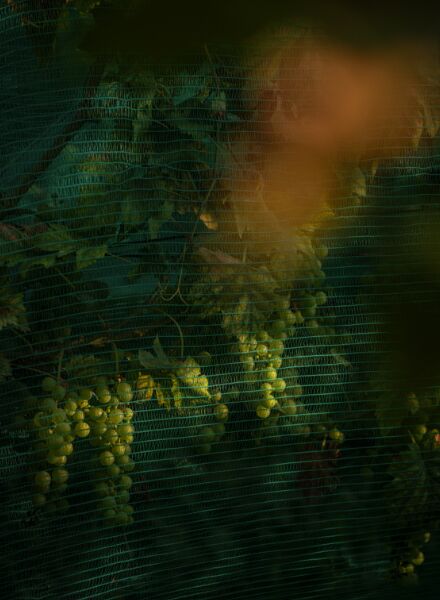 Welcome to the HOTEL JUNGFRAU - the photographic reportage by Tina STURZENEGGER c/o VISUALEYES ARTISTS
