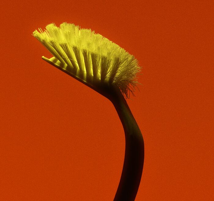 'LAB MELT' - a personal work by GOLDEN RETRIEVER c/o VISUALEYES ARTISTS
